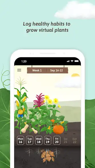 Play The Nourish Garden as an online game The Nourish Garden with UptoPlay