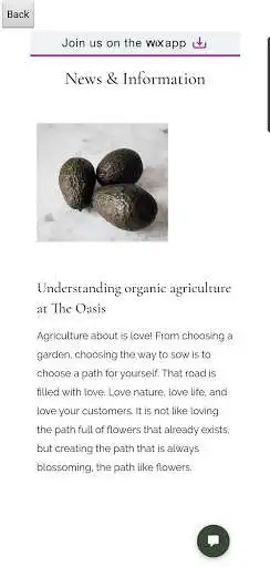 Play The Oasis