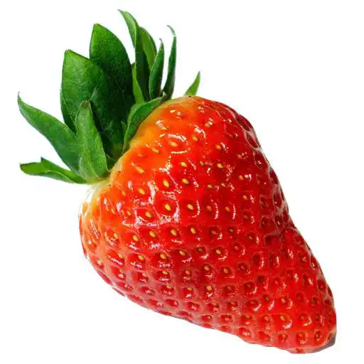 Free play online The of growing strawberries  APK