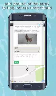 Play The_old_version