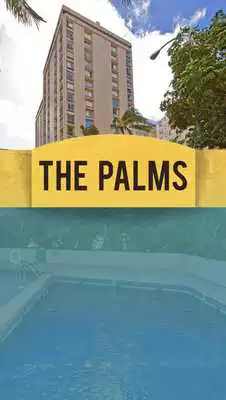 Play The Palms AOAO