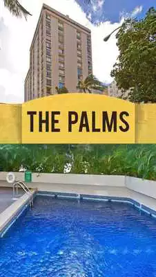Play The Palms AOAO