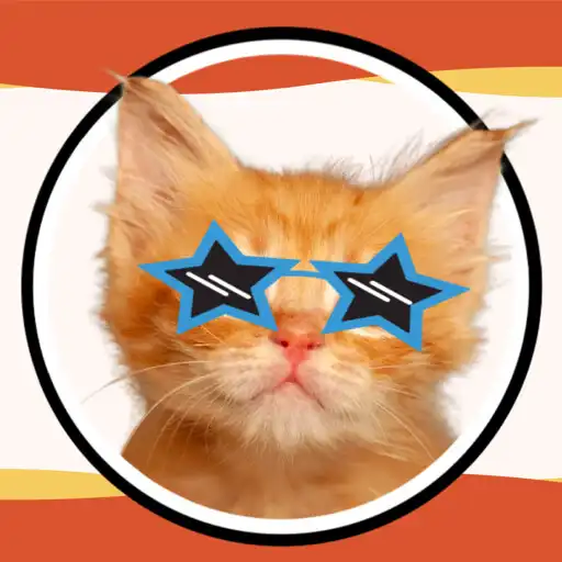 Play The Pawsome App APK