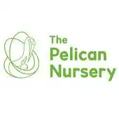 Free play online The Pelican Nursery APK Free play online The Pelican Nursery APK