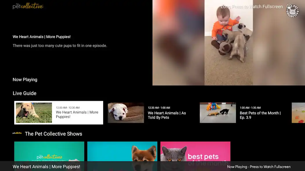 Play The Pet Collective for Android and enjoy The Pet Collective for Android with UptoPlay Play The Pet Collective for Android and enjoy The Pet Collective for Android with UptoPlay