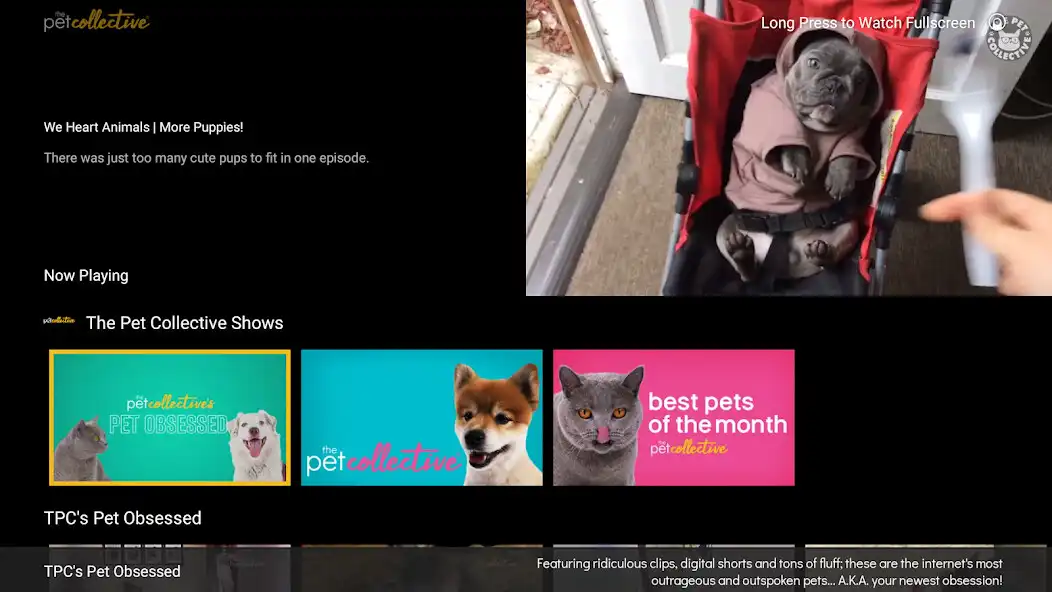 Play The Pet Collective for Android as an online game online The Pet Collective for Android with UptoPlay Play The Pet Collective for Android as an online game The Pet Collective for Android with UptoPlay