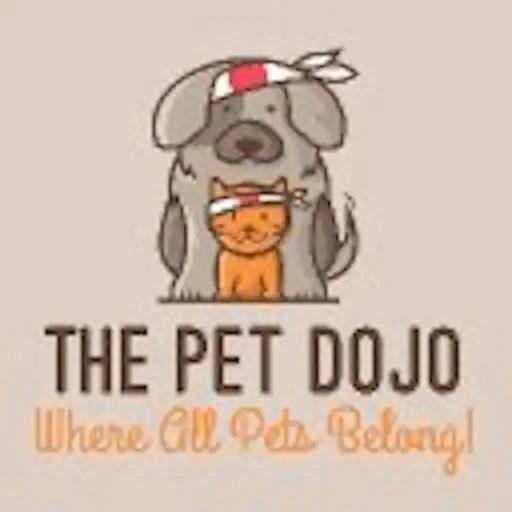 Play The Pet Dojo APK