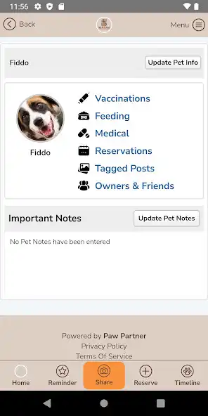 Play The Pet Dojo as an online game The Pet Dojo with UptoPlay