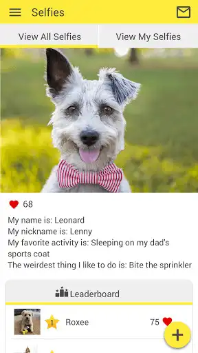 Play The Pet Hospital of Madison as an online game The Pet Hospital of Madison with UptoPlay