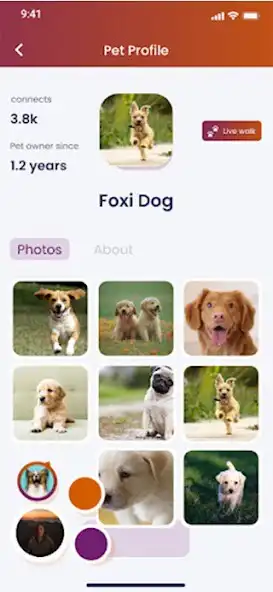 Play The PetSociety  and enjoy The PetSociety with UptoPlay