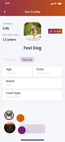 Play The PetSociety as an online game The PetSociety with UptoPlay