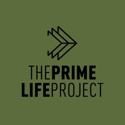 Play The Prime Life Project APK