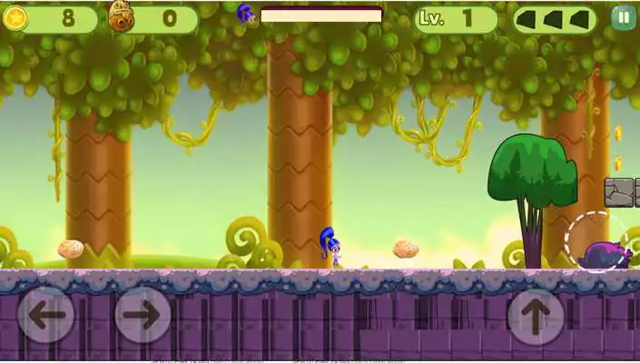 Play The Princess Shimmer Run