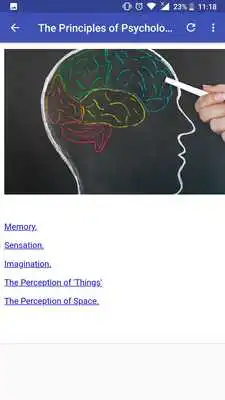 Play The Principles of Psychology