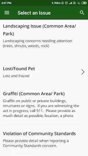 Play The Providence Reporter