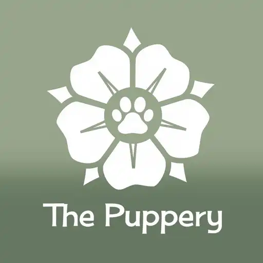 Play The Puppery APK