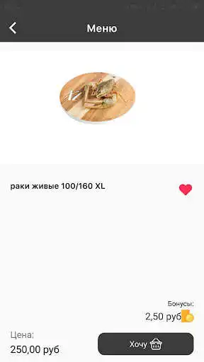 Play The Raki as an online game The Raki with UptoPlay