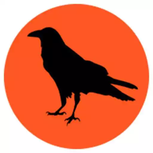 Free play online The Raven APK Free play online The Raven APK