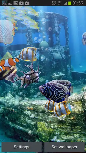 Play The real aquarium - LWP as an online game The real aquarium - LWP with UptoPlay
