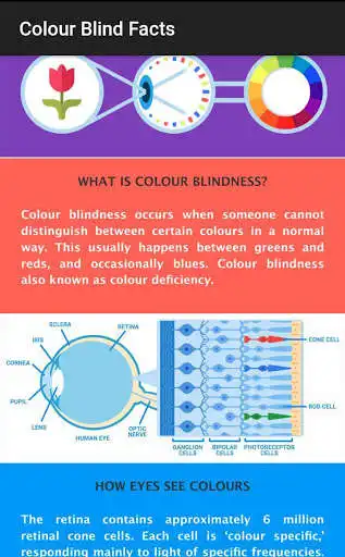 Play The Real Color as an online game The Real Color with UptoPlay
