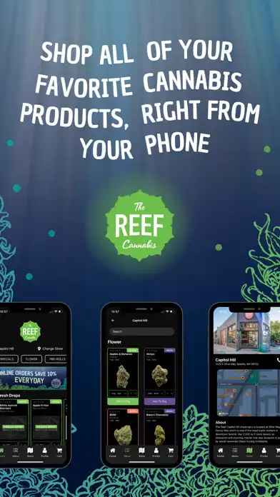 Play The Reef Cannabis  and enjoy The Reef Cannabis with UptoPlay