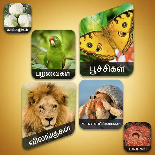 Play Theriyuma learn GK in Tamil APK