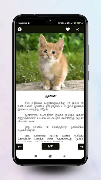 Play Theriyuma learn GK in Tamil  and enjoy Theriyuma learn GK in Tamil with UptoPlay