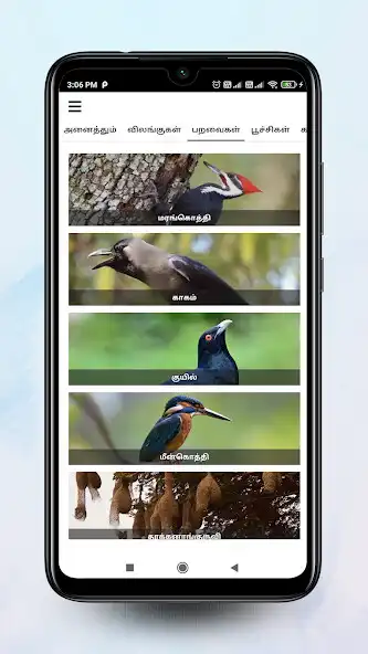 Play Theriyuma learn GK in Tamil as an online game Theriyuma learn GK in Tamil with UptoPlay