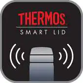 Free play online Thermos APK