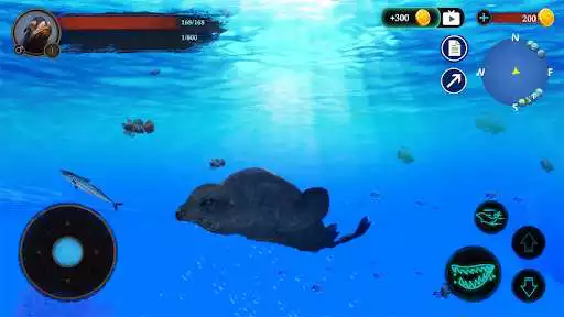 Play The Sea Lion  and enjoy The Sea Lion with UptoPlay