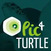 Free play online The Sea Turtle Global Network APK Free play online The Sea Turtle Global Network APK