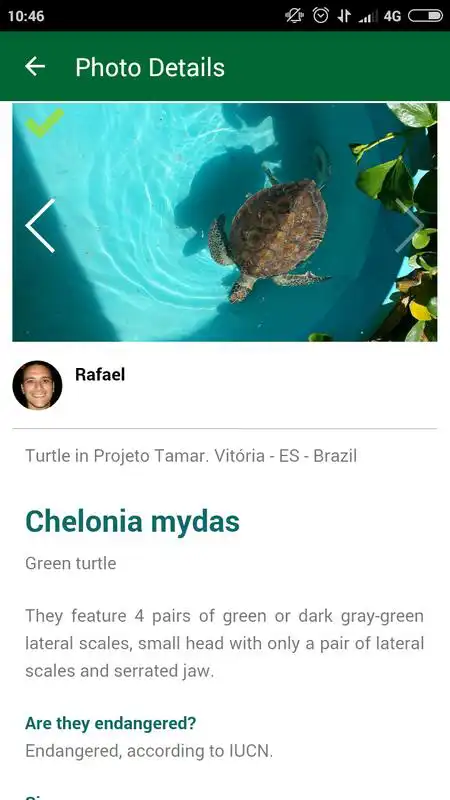 Play The Sea Turtle Global Network