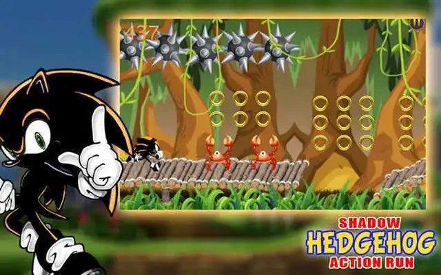 Play The Shadow Hedgehog Action Run