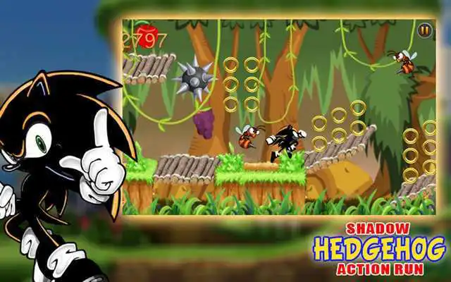 Play The Shadow Hedgehog Action Run