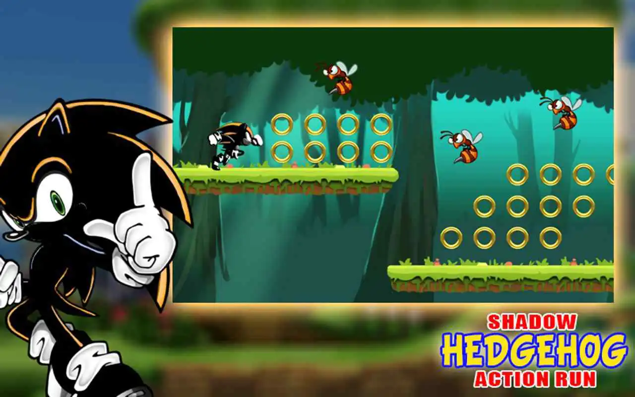Play The Shadow Hedgehog Action Run