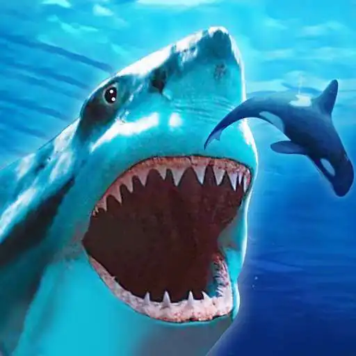 Play The Shark APK Play The Shark APK