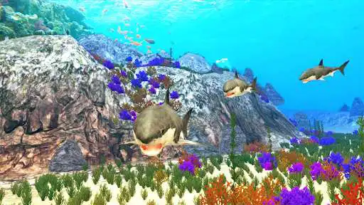 Play The Shark as an online game The Shark with UptoPlay