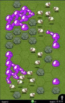 Play The Shepherds Rock