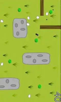 Play The Silliness of the Lambs