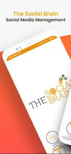 Play The Social Brain  and enjoy The Social Brain with UptoPlay