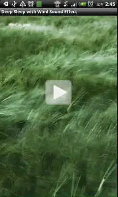 Play The Solution for Insomnia.wind