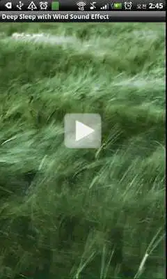Play The Solution for Insomnia.wind