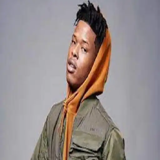 Play the songs of nasty c APK