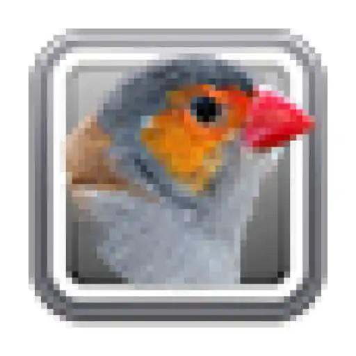 Play The Sound of Birds APK Play The Sound of Birds APK