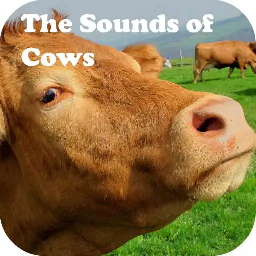 Free play online The Sounds of Cows APK