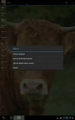 Play The Sounds of Cows Play The Sounds of Cows