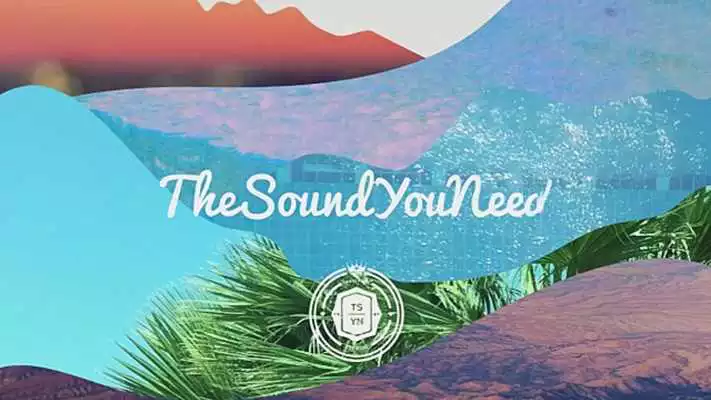 Play The Sound You Need