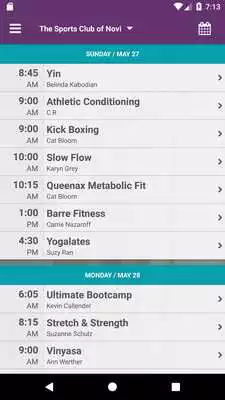 Play The Sports Club of Novi