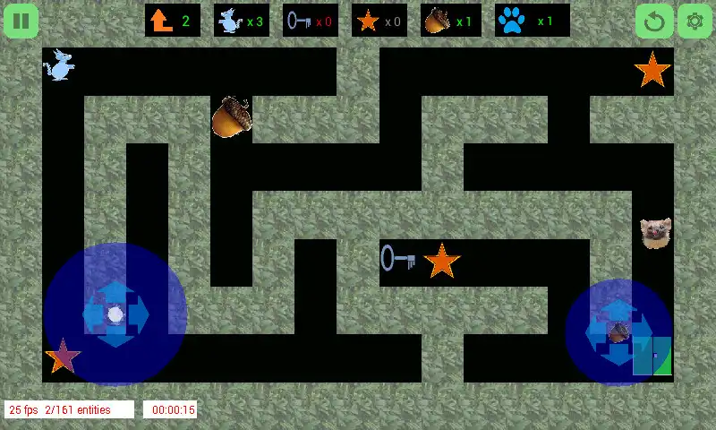 Play The Squirrels Maze 2D as an online game The Squirrels Maze 2D with UptoPlay