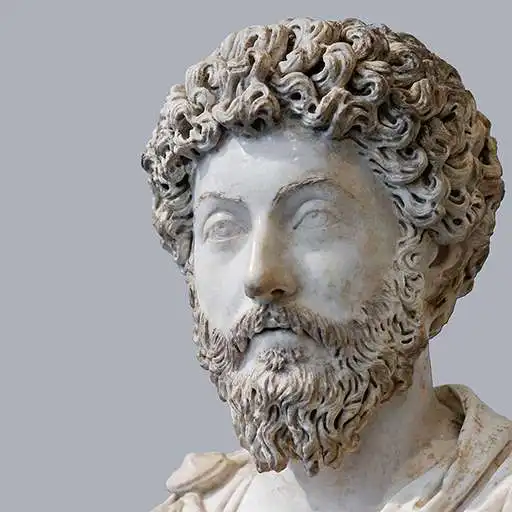 Play The Stoic APK
